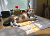 Mama Girl SPONSORED! - Photo 2