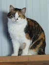 Mama Girl SPONSORED! - Photo 8