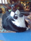 Ralphie - SPONSORED! - Photo 3