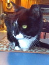 Ralphie - SPONSORED! - Photo 4