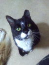 Ralphie - SPONSORED! - Photo 2