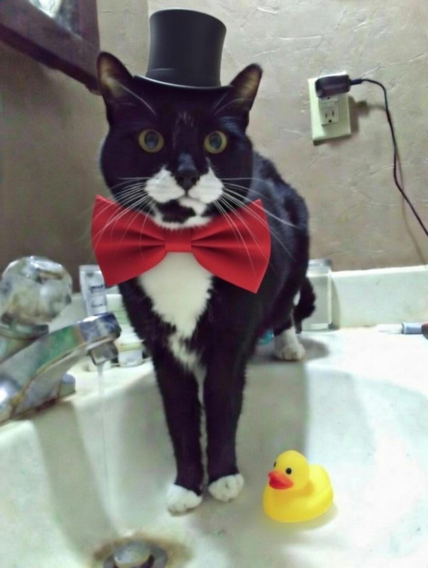 Ralphie - SPONSORED!