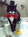 Ralphie - SPONSORED! - Photo 1
