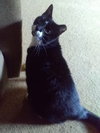 Ralphie - SPONSORED! - Photo 6