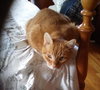 Rocky - SPONSORED! - Photo 3