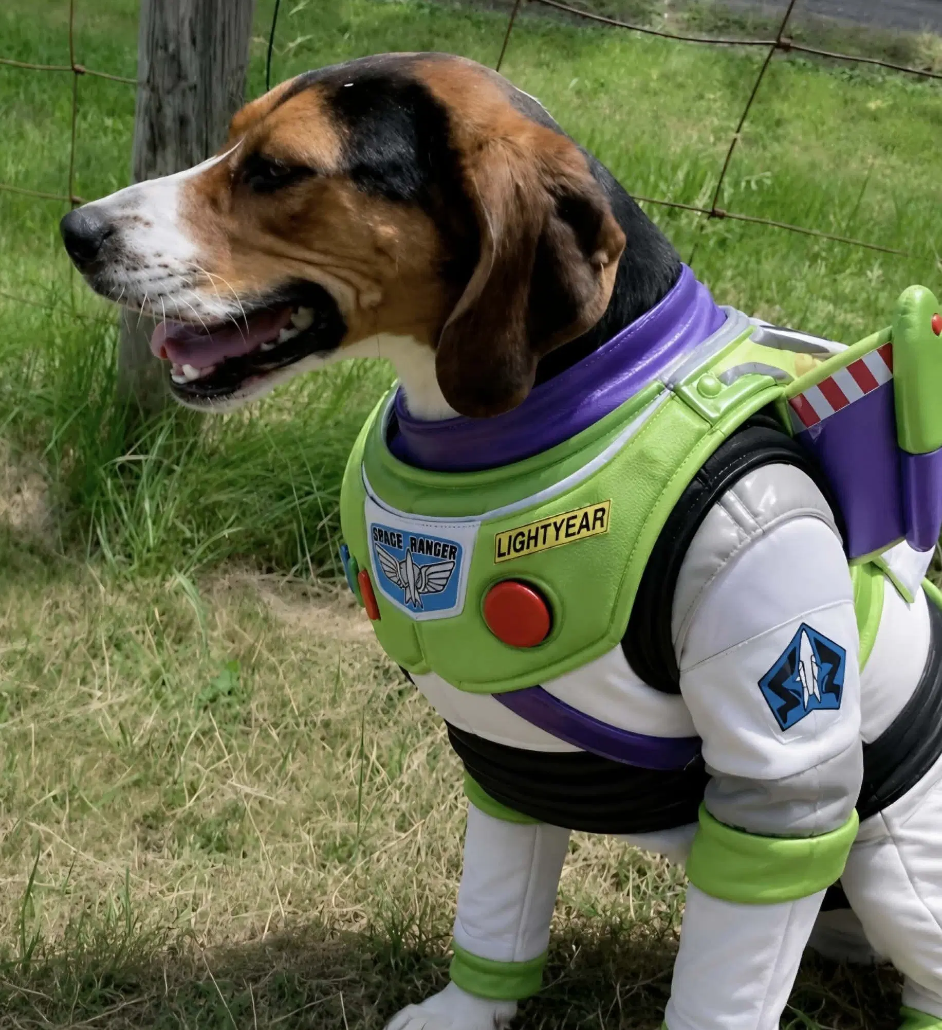 Buzz Lightyear - Sponsored image 2