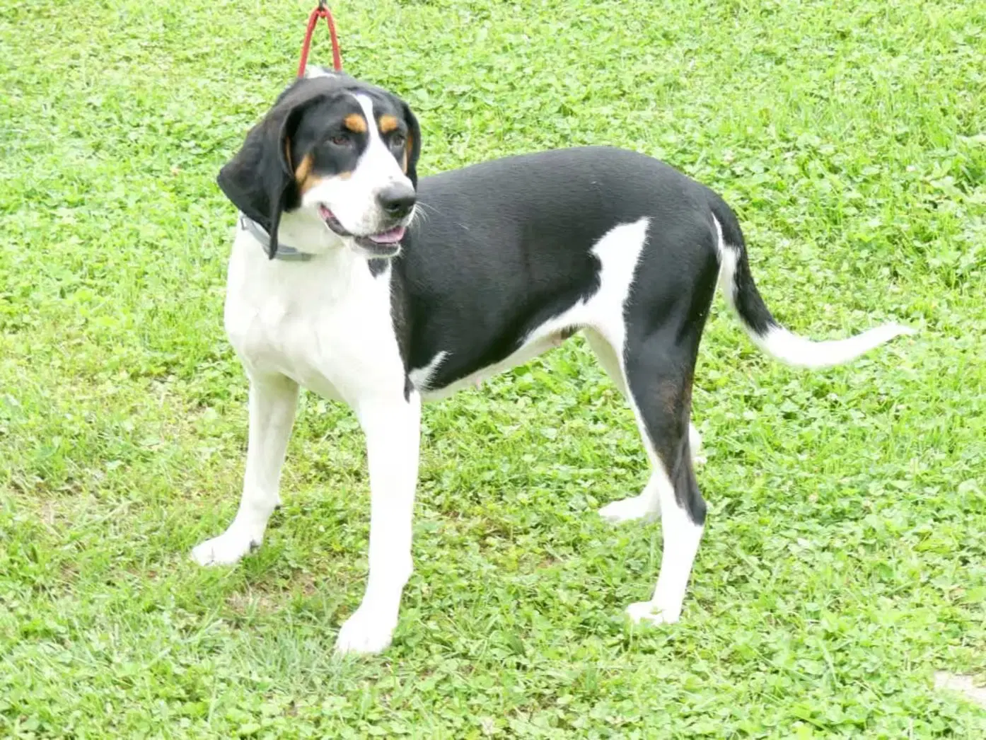 Daisy May image 2