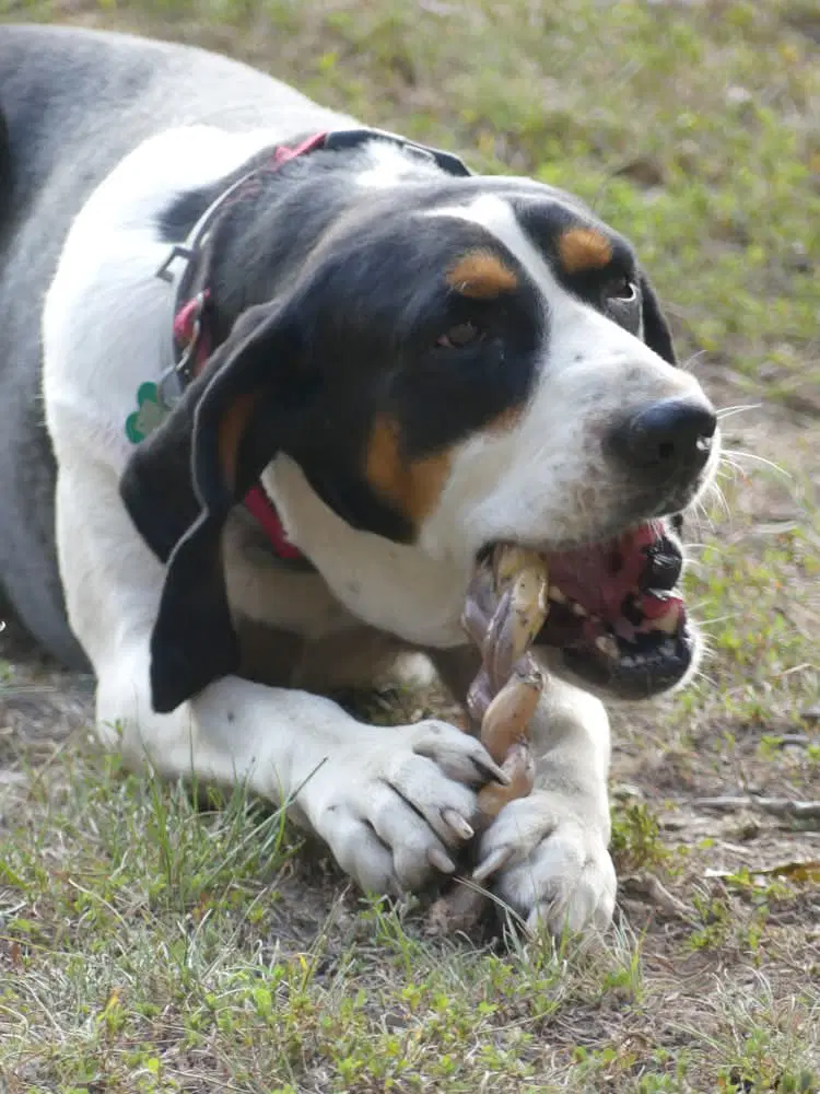 Daisy May - Sponsored image 2