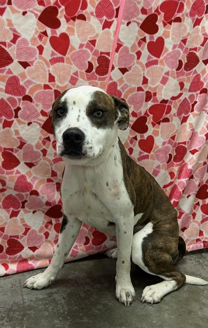 George