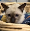 FRED - Photo 1