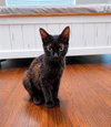 WINNIE - Photo 1