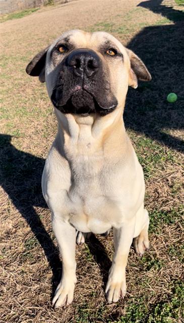 OSCAR