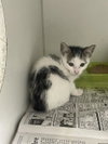 MABEL - Photo 1