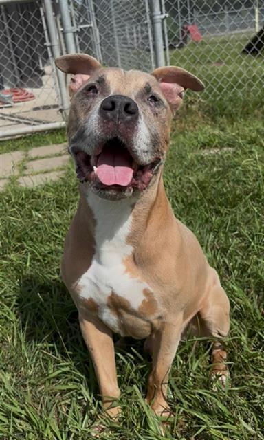 ZEUS