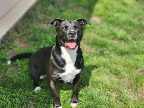 Ember, photo 25