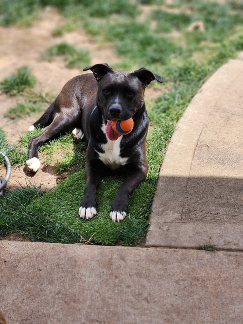 Ember, photo 24