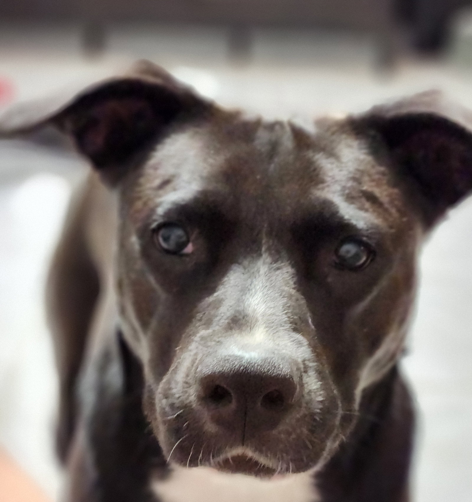 Ember, photo 22