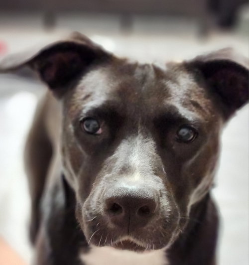 Ember, photo 21