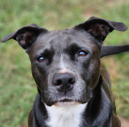 Ember, photo 15
