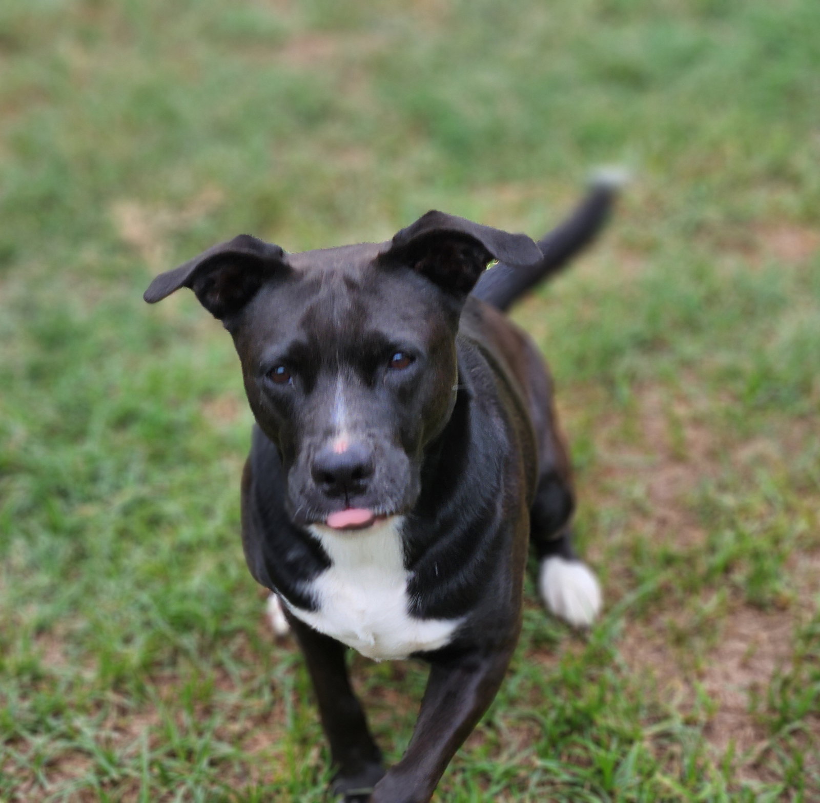 Ember, photo 18