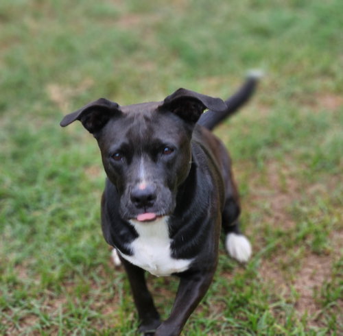 Ember, photo 17