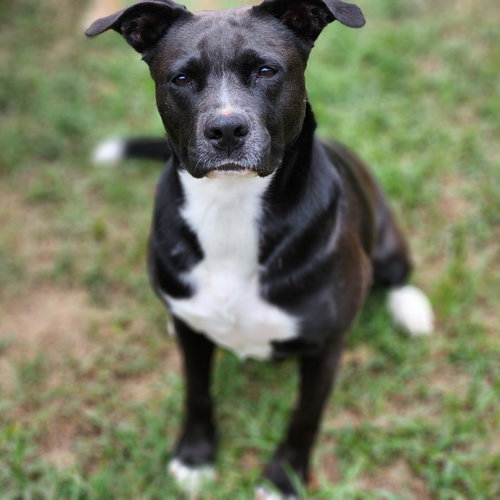 Ember, photo 18