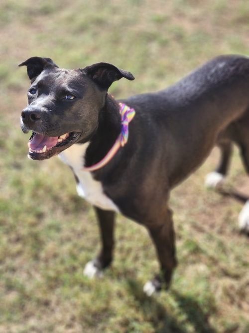 Ember, photo 12