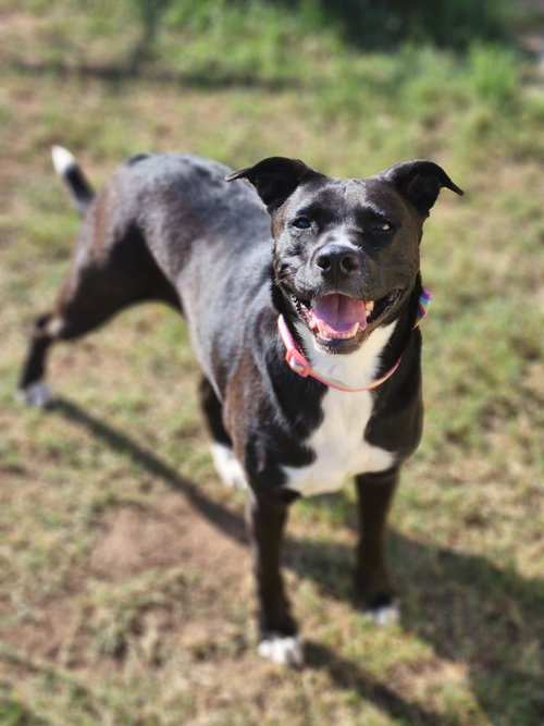 Ember, photo 13