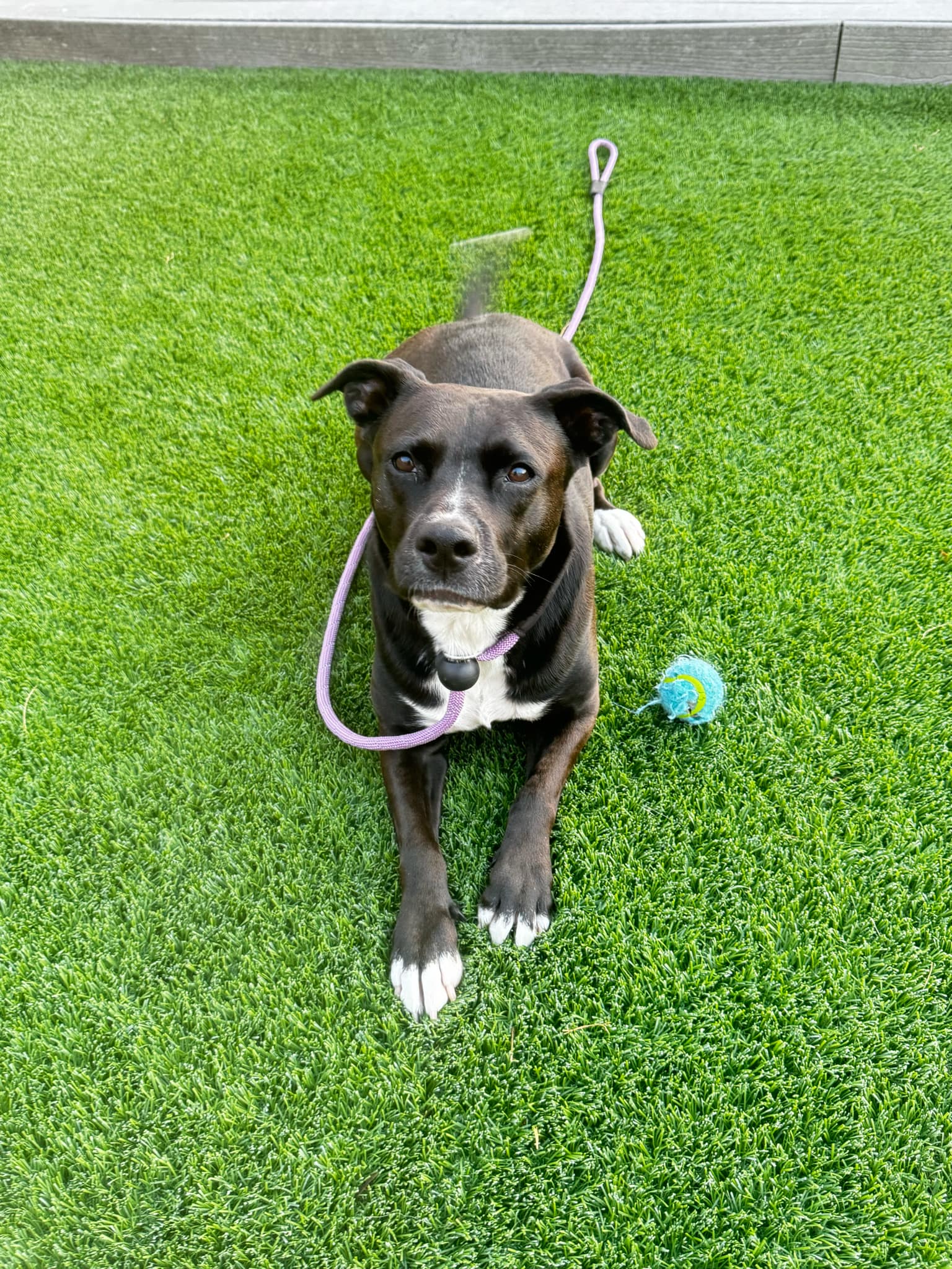 Ember, photo 10