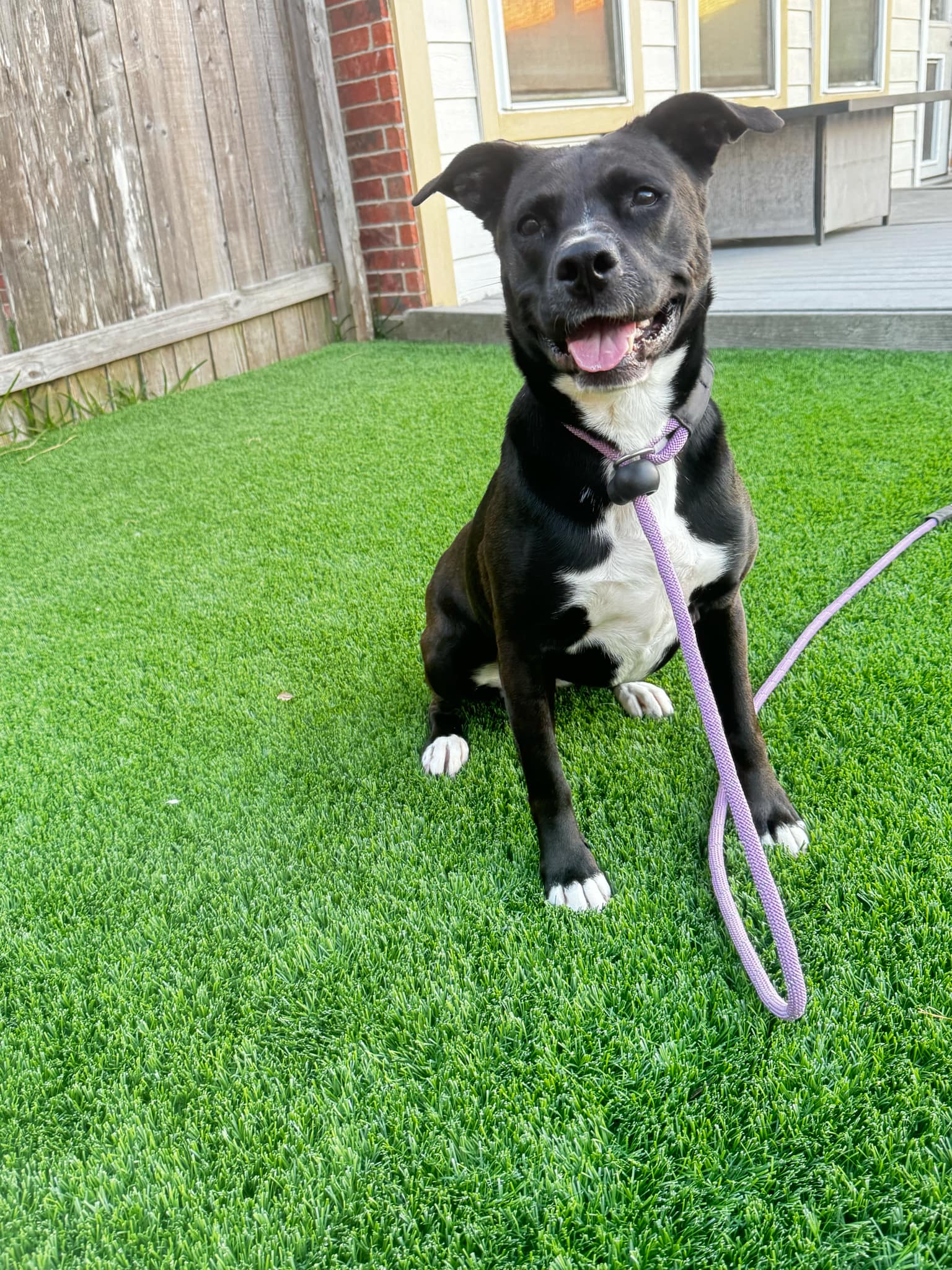 Ember, photo 9