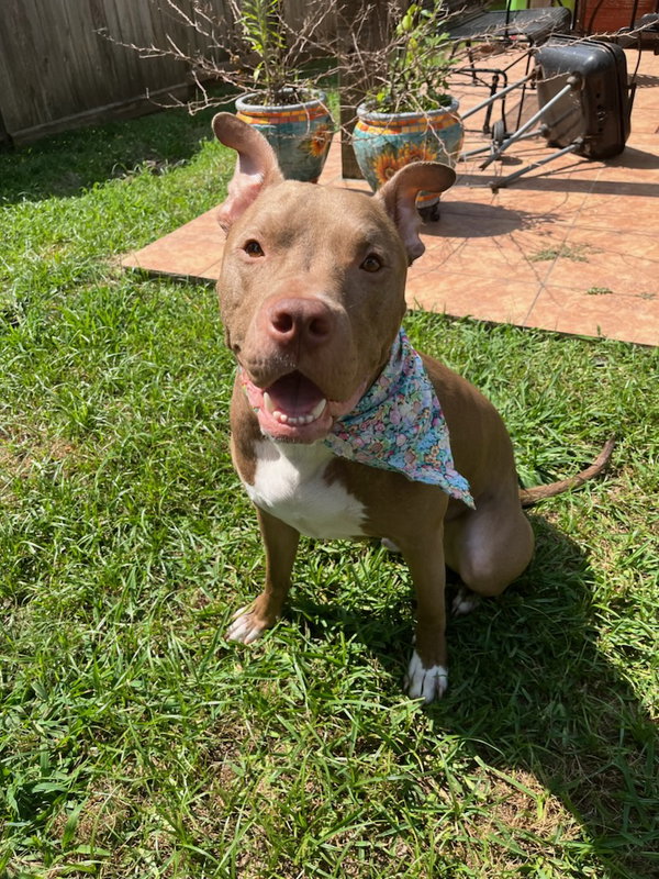 Chester
