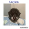Greyson K - Photo 15