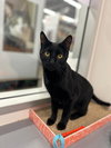 Billie Jean H - Photo 1