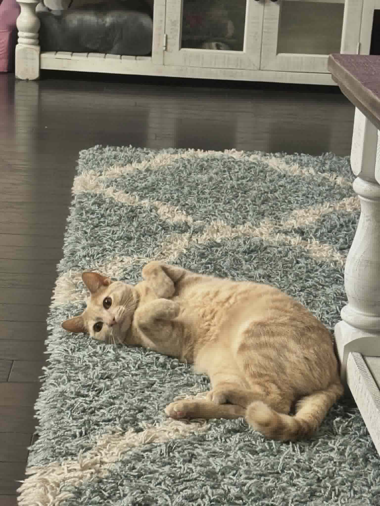 Samson