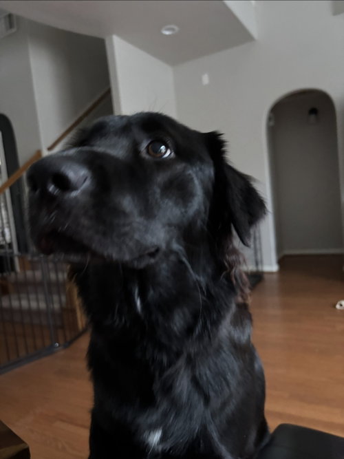 Photo of Nixxy