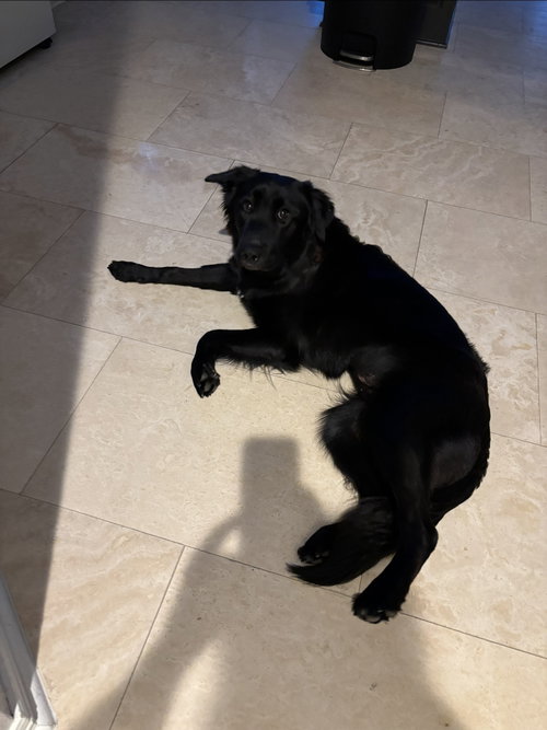 Photo of Nixxy