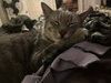 Bender - Photo 4