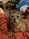 Bender - Photo 2
