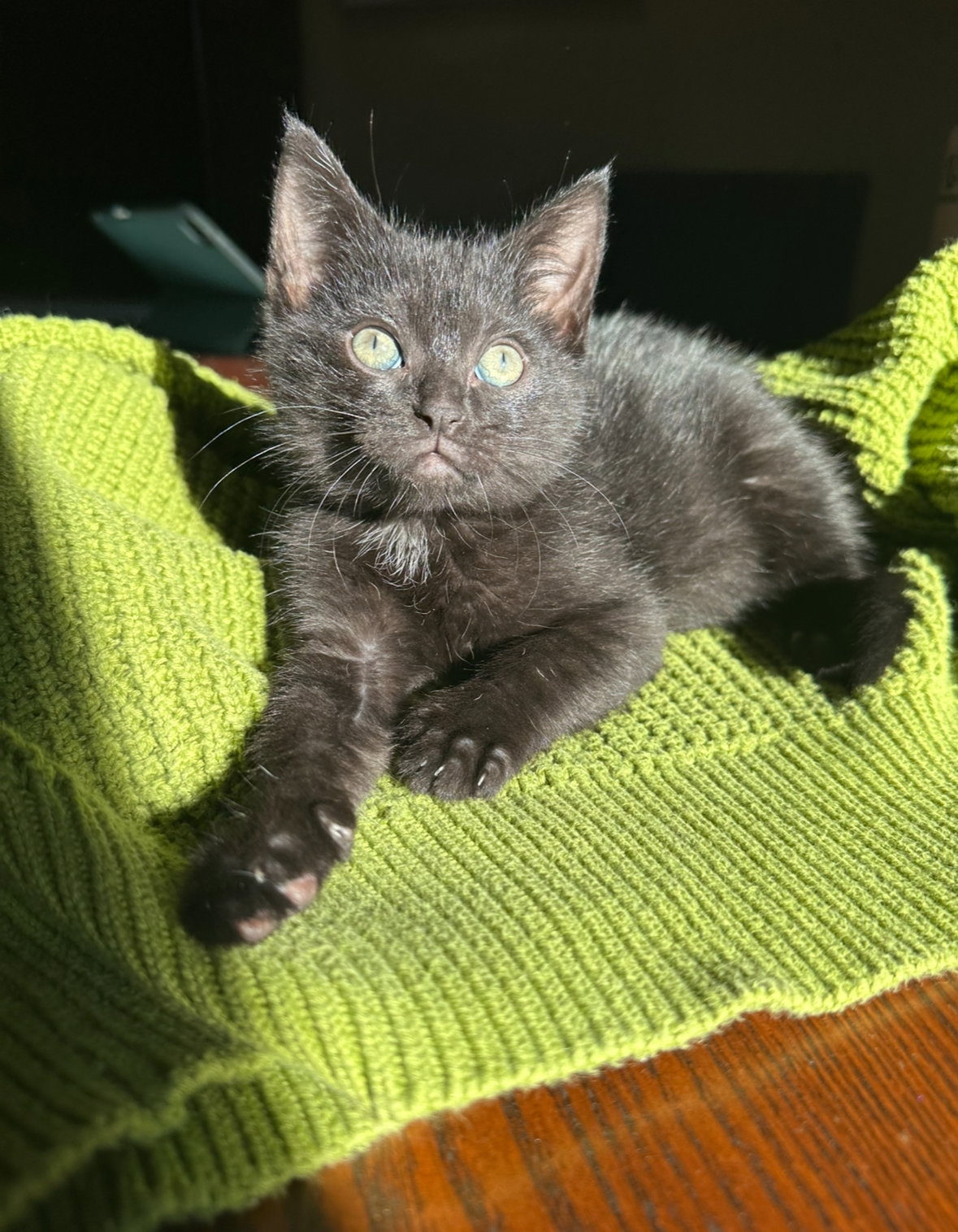 Nyx K