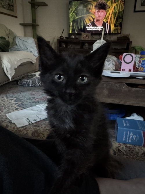 Millicent Dub photo 2