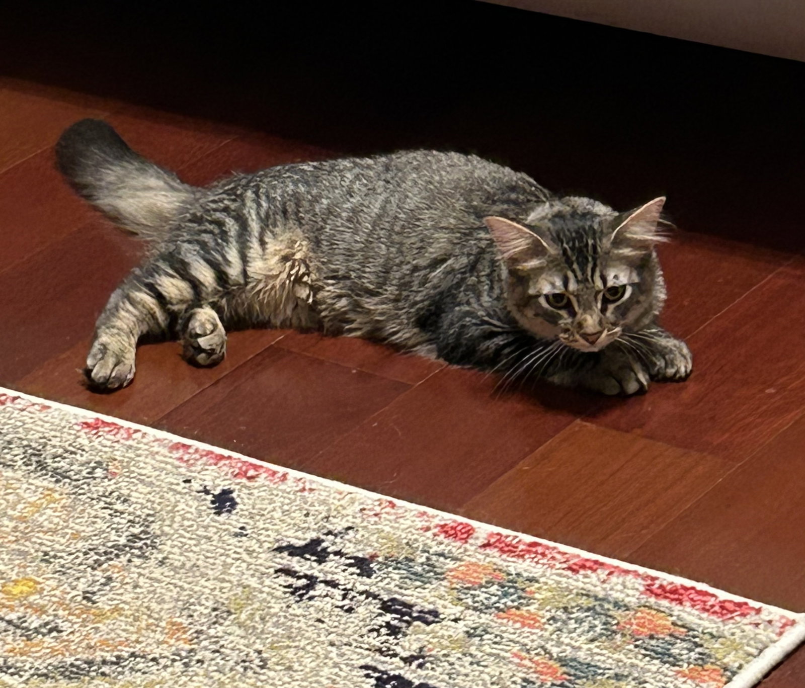 Mildred Dub, photo 15