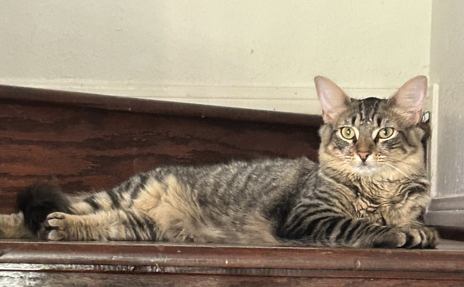 Mildred Dub, photo 7