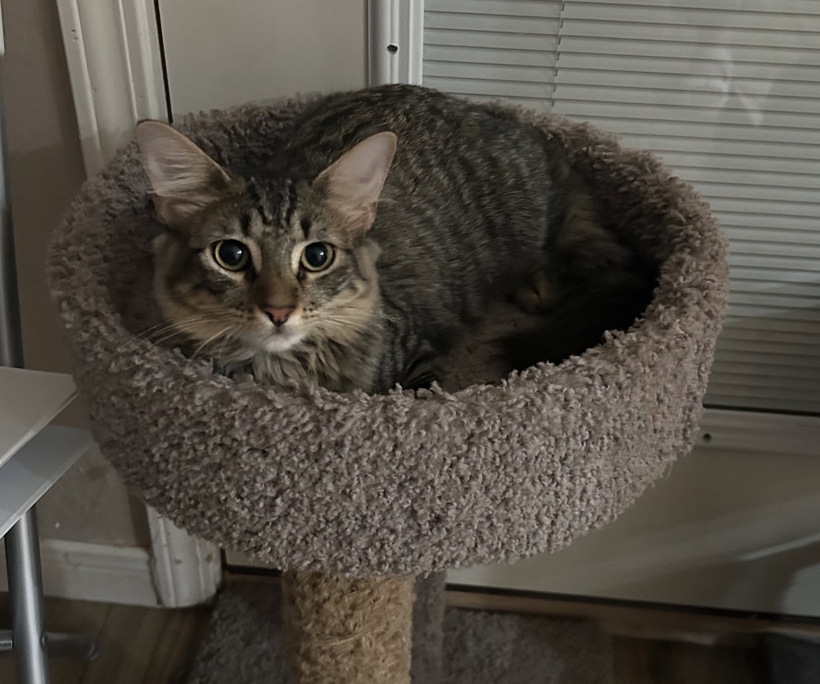 Mildred Dub, photo 11