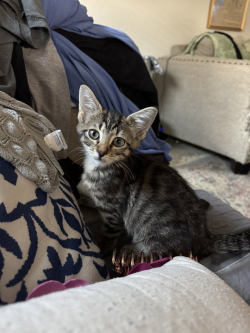 Mabel Dub photo 3
