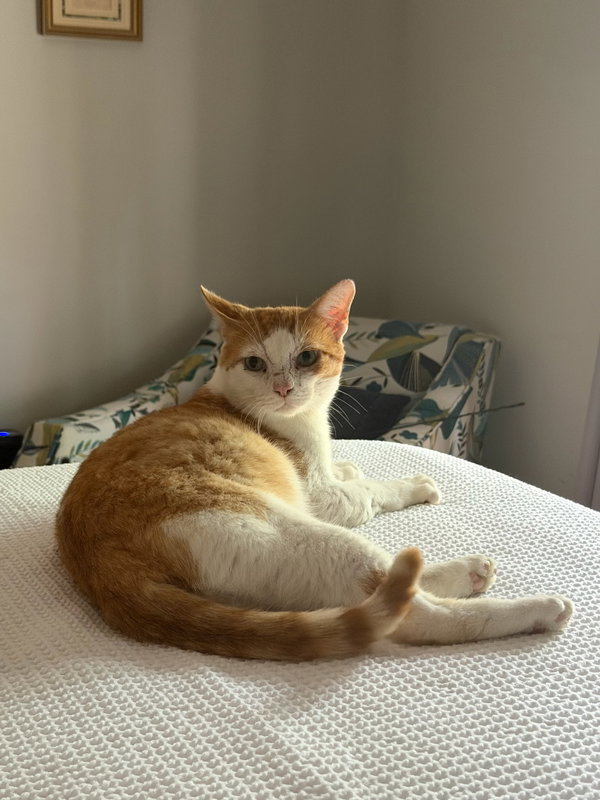 Daniel