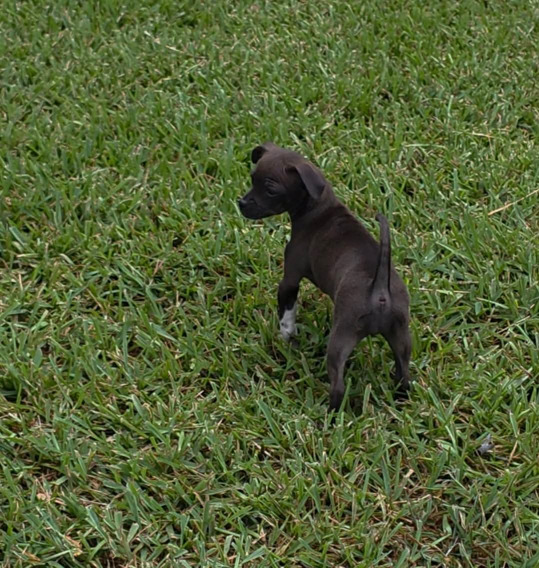 Baleigh image 2