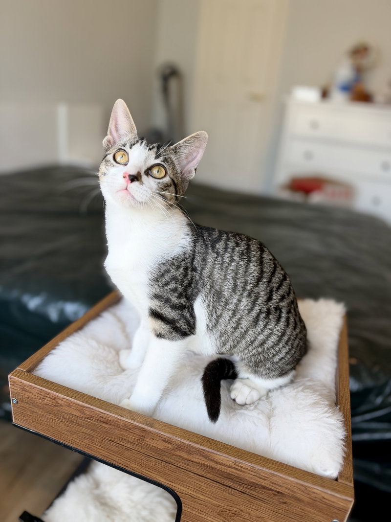 Penelope, photo 2