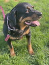 Mabel - Photo 3