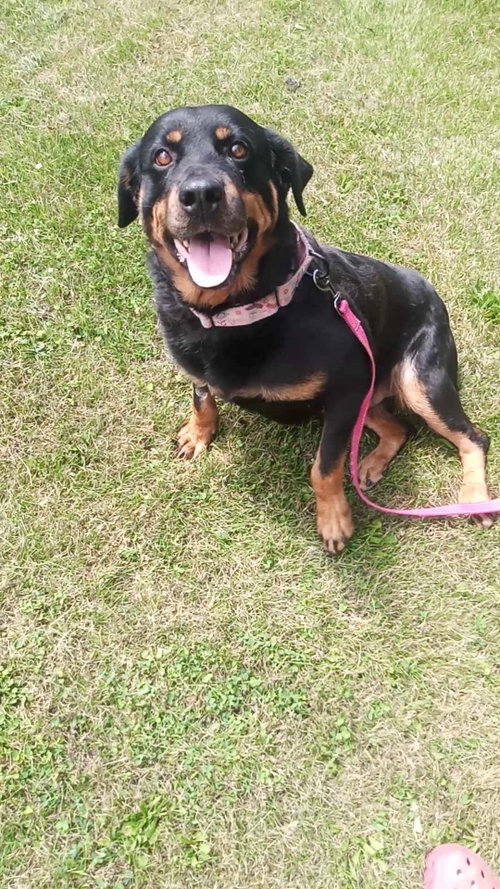 Mabel, photo 5