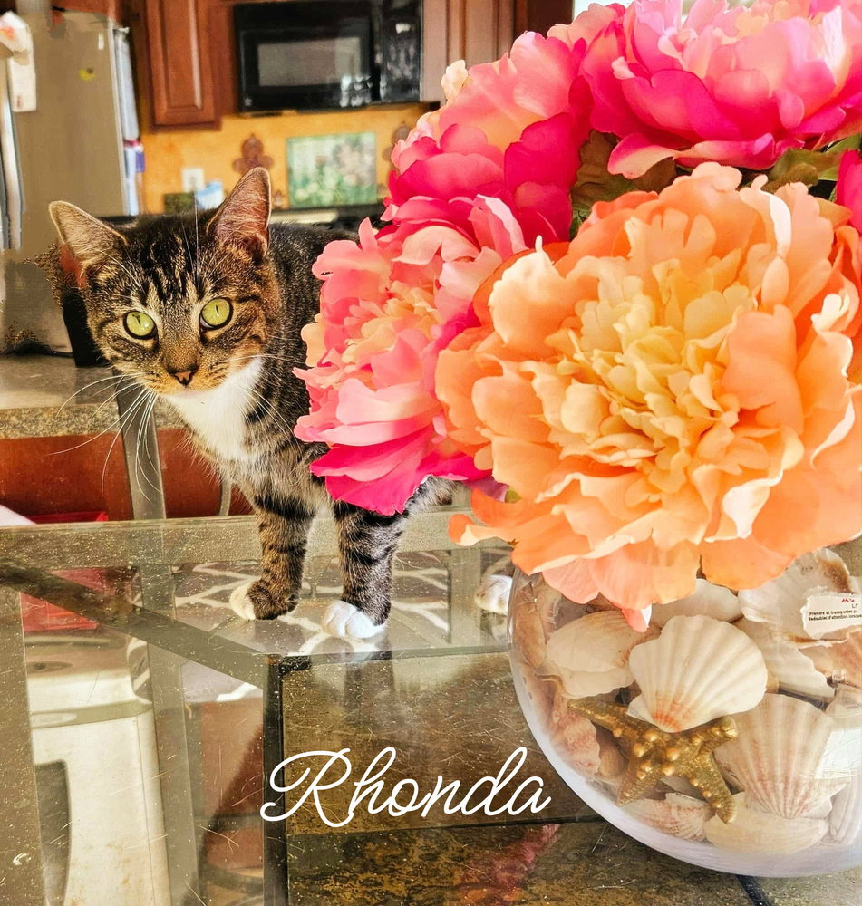 Rhonda